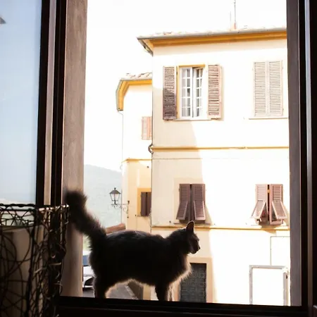 Ospitalità Diffusa Couette-café Scarlino